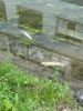 THL ERKUNDUNG