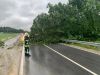 THL UNWETTER