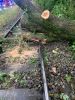 THL UNWETTER