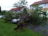 THL UNWETTER