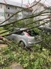 THL UNWETTER