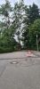 THL UNWETTER